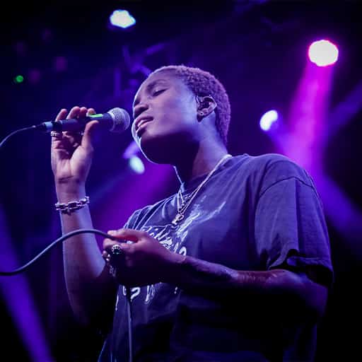 Arlo Parks Concerts in Los Angeles