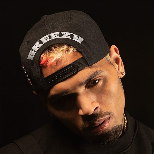 Chris Brown Concerts in Los Angeles