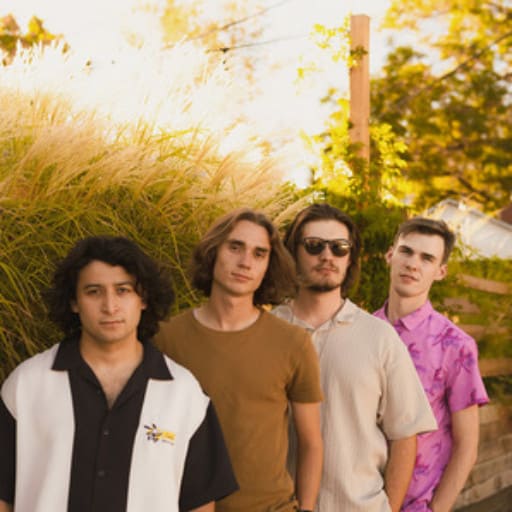 Flamingos in the Tree Concerts in Los Angeles