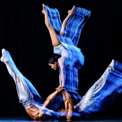 Troupe Vertigo Concerts in Los Angeles