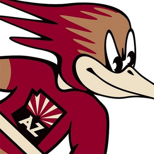 Tucson Roadrunners Schedule 2026–2027